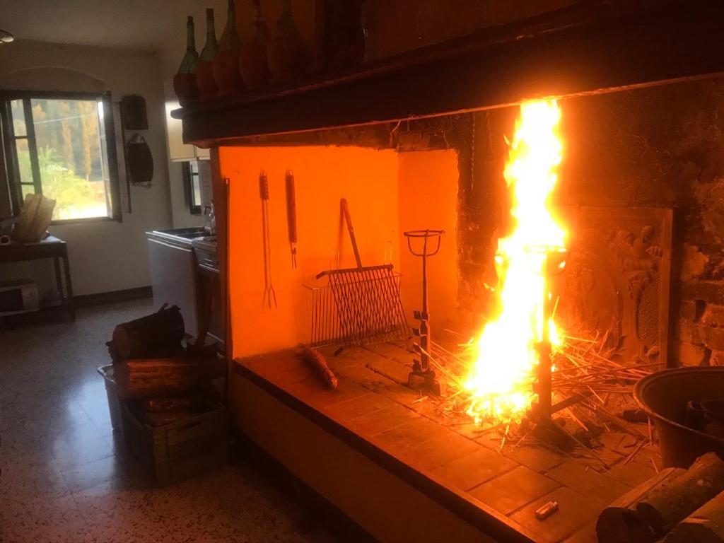 Casa Vacanze Podere Marilla Peccioli Екстериор снимка